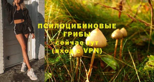 скорость Алзамай
